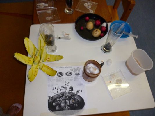 Istrazivanje kreativnost